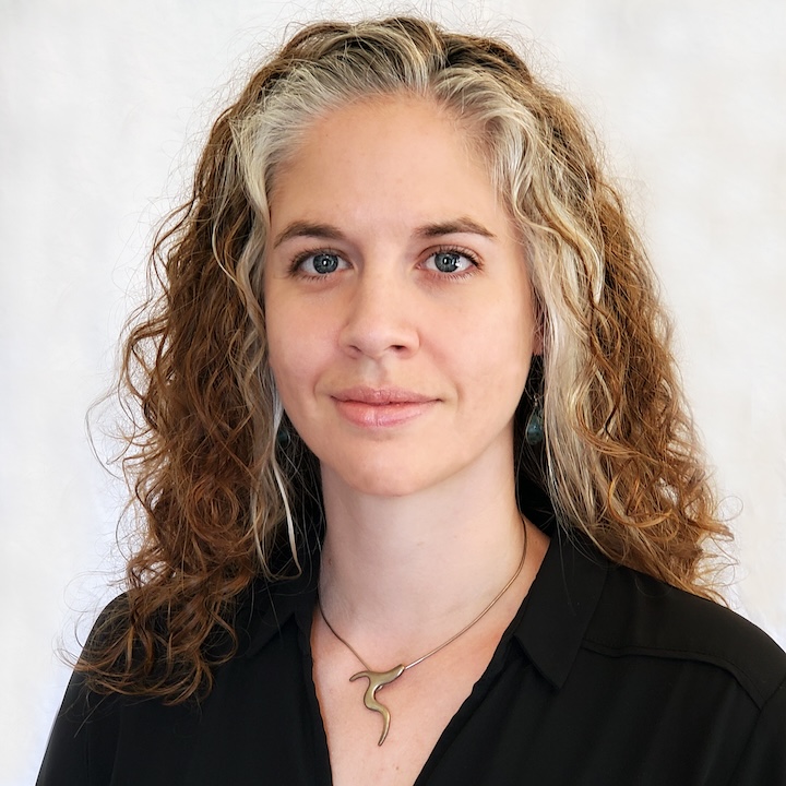 Dr. Alexa Schmitz - New York State Innovation Summit