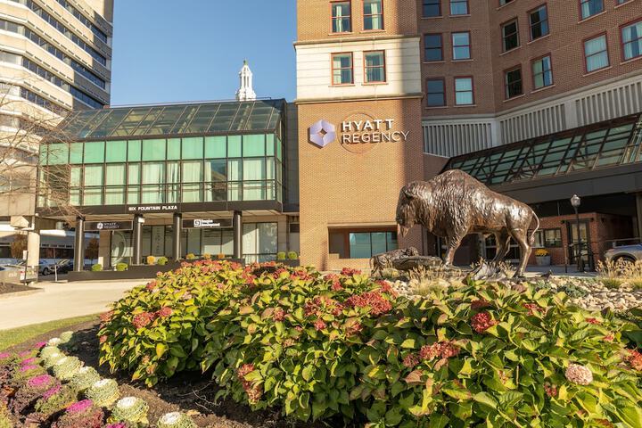 Hyatt Regency Buffalo, Buffalo Statue out front