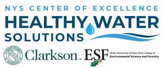 New York State Center of Excellence in Healthy Water Solutions at Clarkson, logo
